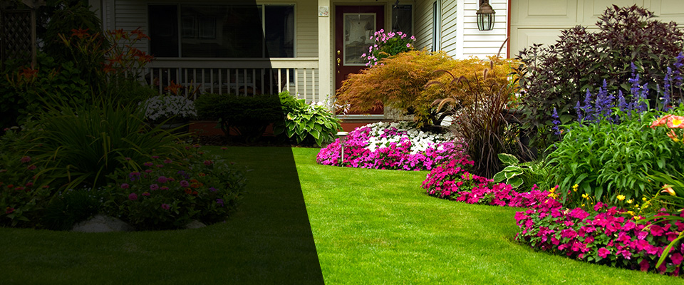Telford Landscapers