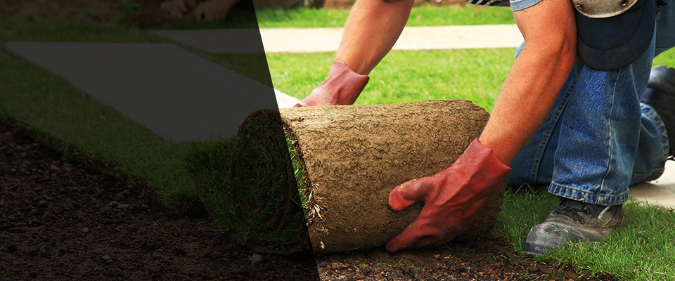 Telford Landscapers